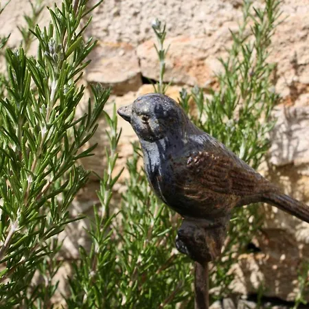 Panzió Le 14 Faubourg Beaune