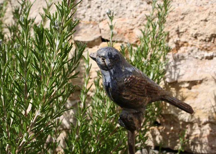 Couette-café Le 14 Faubourg Beaune (Cote d'Or)