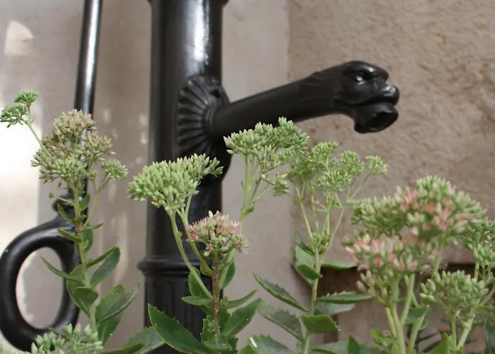 Bed and Breakfast Le 14 Faubourg Μπον