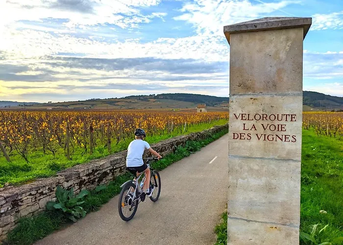 Bed and Breakfast Le 14 Faubourg Μπον